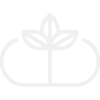 Homeopatía